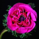 내몸에 존 이미지