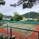 단양테니스장 이미지