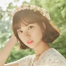 헤이버디 이미지