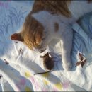 우짤낀데