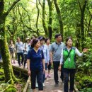제주동백렌트카 - 제주시 오광로 24 | 제주동백렌트카