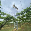 조성원예산지유통센터 이미지