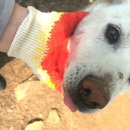 천일농장 이미지