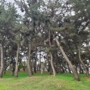 구산근린공원 이미지