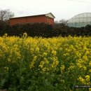 카페산책 이미지