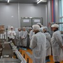 신안센터-8 이미지