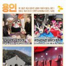 에버여행사주