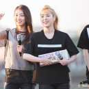 그레이 Daum카페
