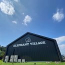 엘리펀트 이미지