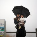 지우목장 이미지