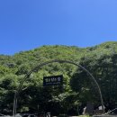 별을 담은 숲 이미지