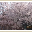 제38호어린이공원 이미지