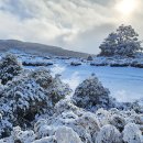 2025년 8월24일~27일(3박4일) Winter Tongariro Tramping(수정예정) 이미지