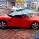 오픈카 이미지