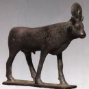 황소반점 이미지