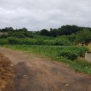 장고항1리 마을회관 이미지