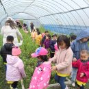 지혜숲유치원 이미지