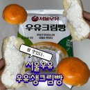 GS25학동중앙점 | Gs 서울우유 우유크림빵 | 솔직후기 | 완전내스타일 | 편의점빵 추천