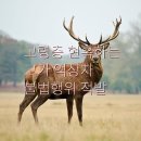 어르신, 가짜 건강식품(액상차)에 속지마세요