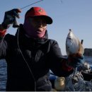 삼척명태찜 이미지