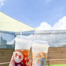 행복하개키울고양 이미지