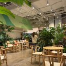 222-운정3-222 | [파주운정/스타필드빌리지] 솔직한 방문후기