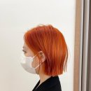 헤어브릭 이미지
