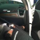 곰식이카 이미지