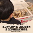 자라진천 | 표고버섯 재배 키트 어린이체험키트 집에서표고버섯키워요 진천드림버섯농장