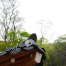 이대감사랑채 이미지