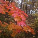 길인목장 이미지