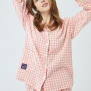 다슬리