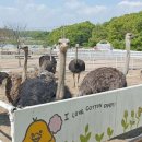 정가농장 이미지