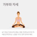 키크는 요가 이미지