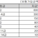 피보험자가 자동차를 운전하던 중에 발생한 급격하고도 우연한 자동차사고[갱신형 운전자용 자동차사고부상치료비보장 특별약관] 이미지