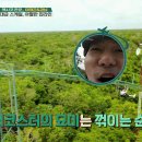바티카