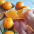 순덕농장 이미지