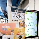 도그카페 | 인천애견카페 추천! 문학경기장 도그와트에서 꿀잼 후기