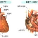 각신 이미지