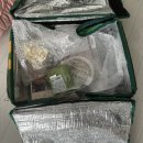 놀멍애견펜션 | [ 포천 ] 놀멍애견펜션 후기