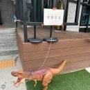 경기도 수원시 팔달구 수원천로 | 수원 행궁동 뚜벅이 당일치기 여행☀️ 소품샵투어