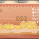 리즈의원 이미지