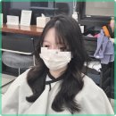 세종미용실 이미지