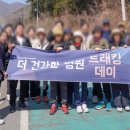 나무병원건강한숲 이미지