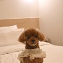 더휴식 아늑 청주 우암1호점 이미지