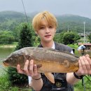 도시어부낚시카페 이미지