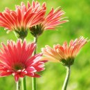 검정고시(중등) 이미지