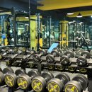 오늘도 헬스 | 오늘도 꾸준하게 헬스운동과 식단관리로 하루를 채운 건강 일상