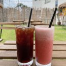 탄스비치 이미지