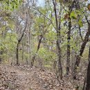 민방위교육장 화장실 이미지